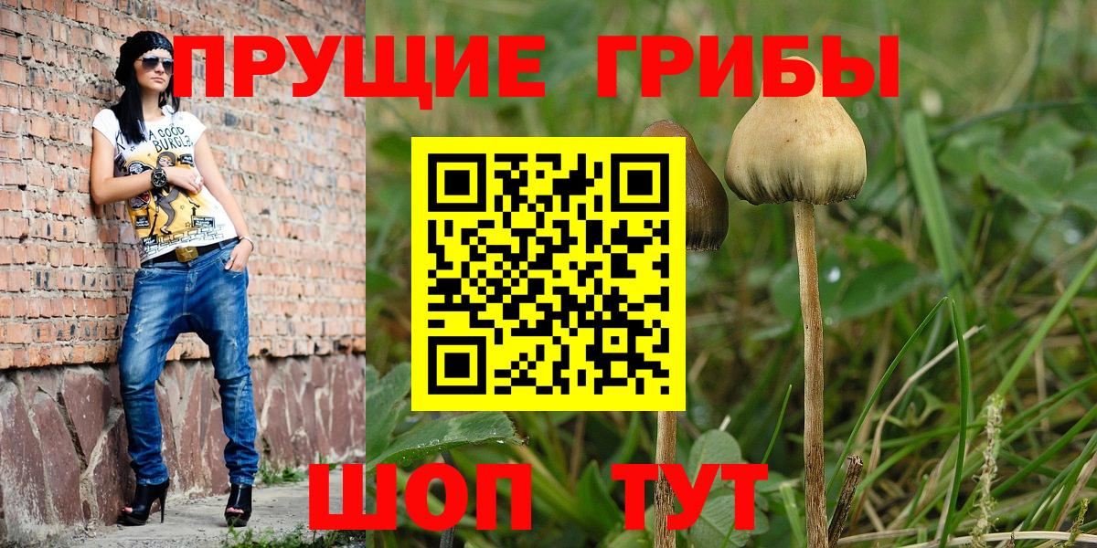 Галлюциногенные грибы GOLDEN TEACHER Красногорск