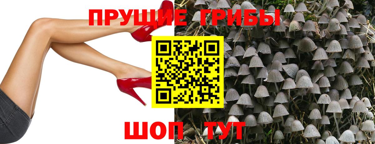 Красногорск  Псилоцибиновые грибы прущие грибы  где купить наркоту  Вход с VPN  Галлюциногенные грибы MAGIC MUSHROOMS 